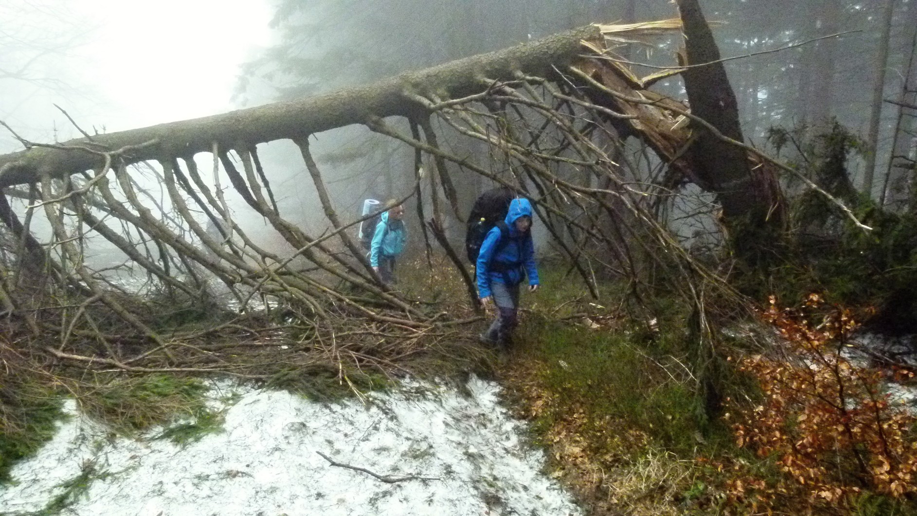 CAL 2012 vyprava do Alifbaje 4. 9.4. 14